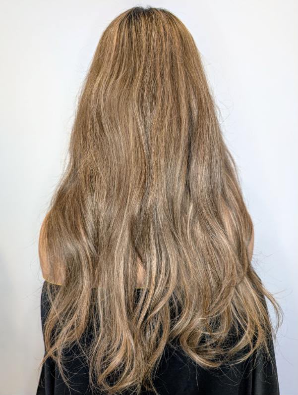 Brown Dark Root Premium Quality Wig
